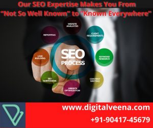 Search Engine Optimization www.digitalveena.com