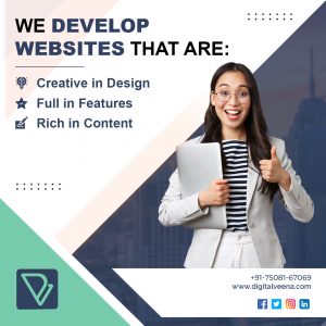 Web Designing & Development- Digital Marketing Company www.digitalveena.com